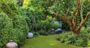 landscaping garden ideas