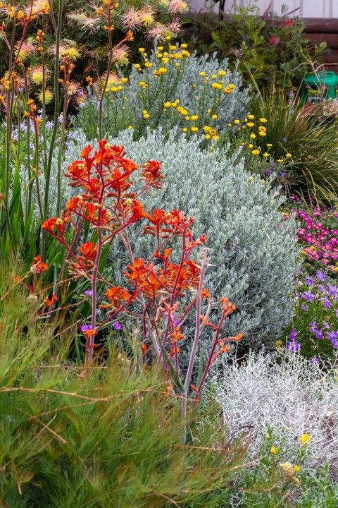 A Guide to Creating Charming Cottage Gardens