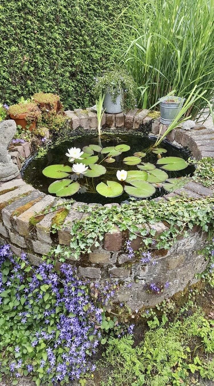 A Guide to Creating a Beautiful Garden Pond