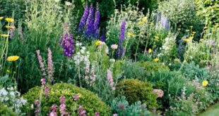 cottage garden design