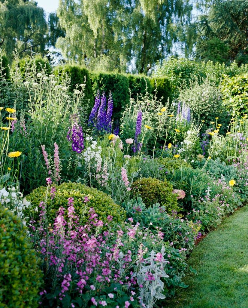 A Guide to Creating a Charming Cottage Garden