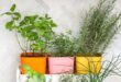 kitchen herb garden planter