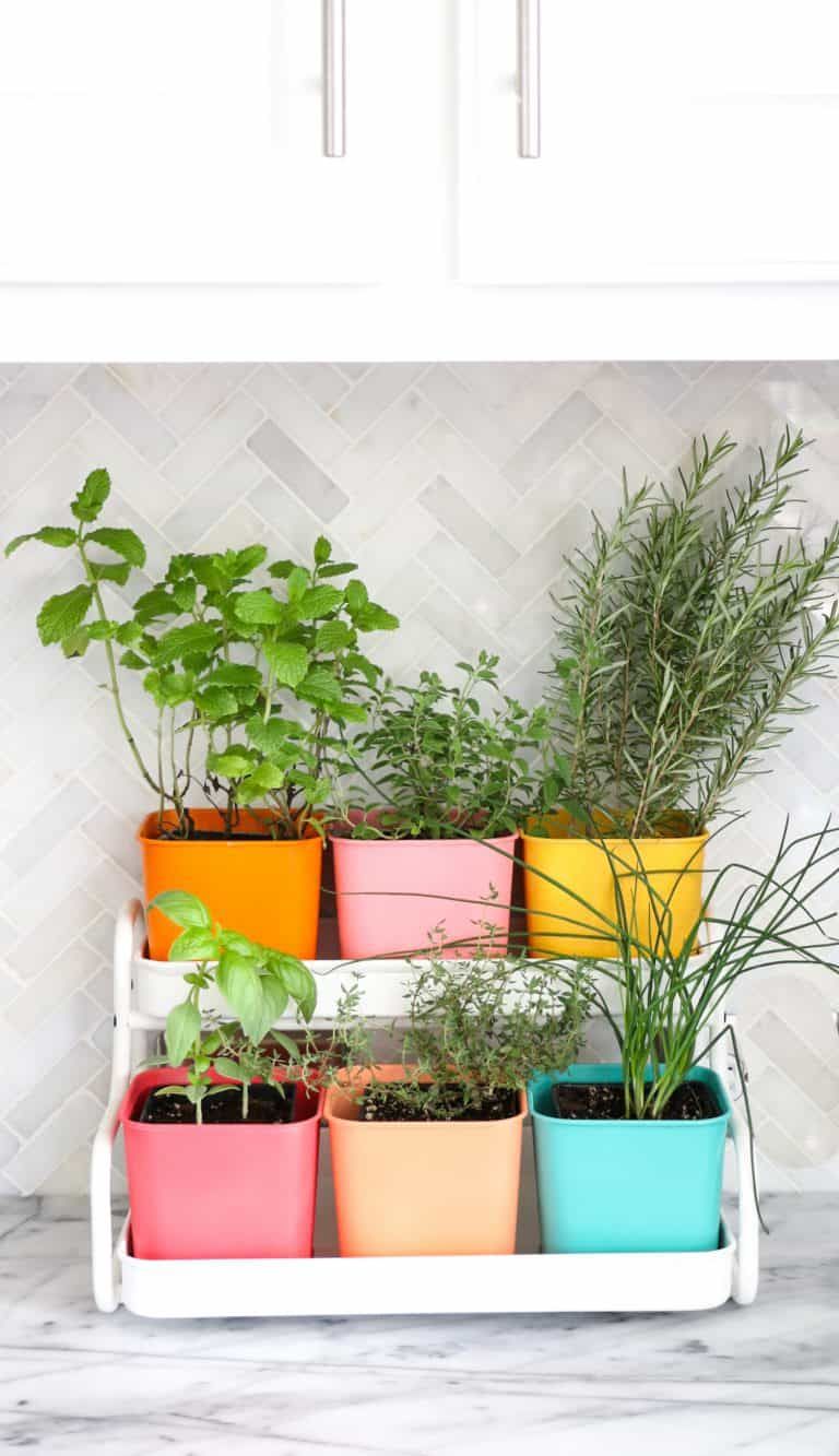 A Guide to Creating a Kitchen Herb Garden Planter