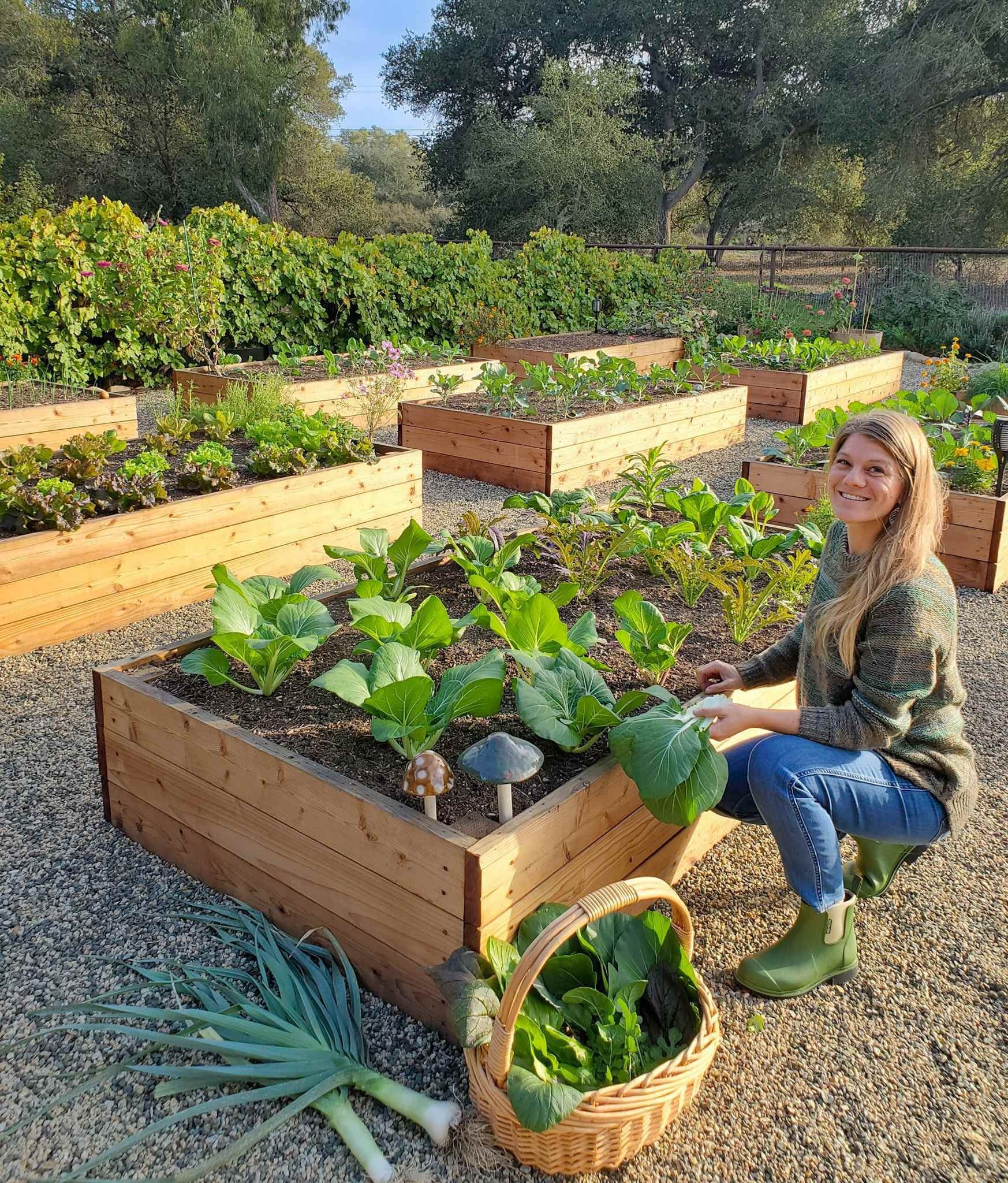 A Guide to Creating a Raised Planter Vegetable Garden