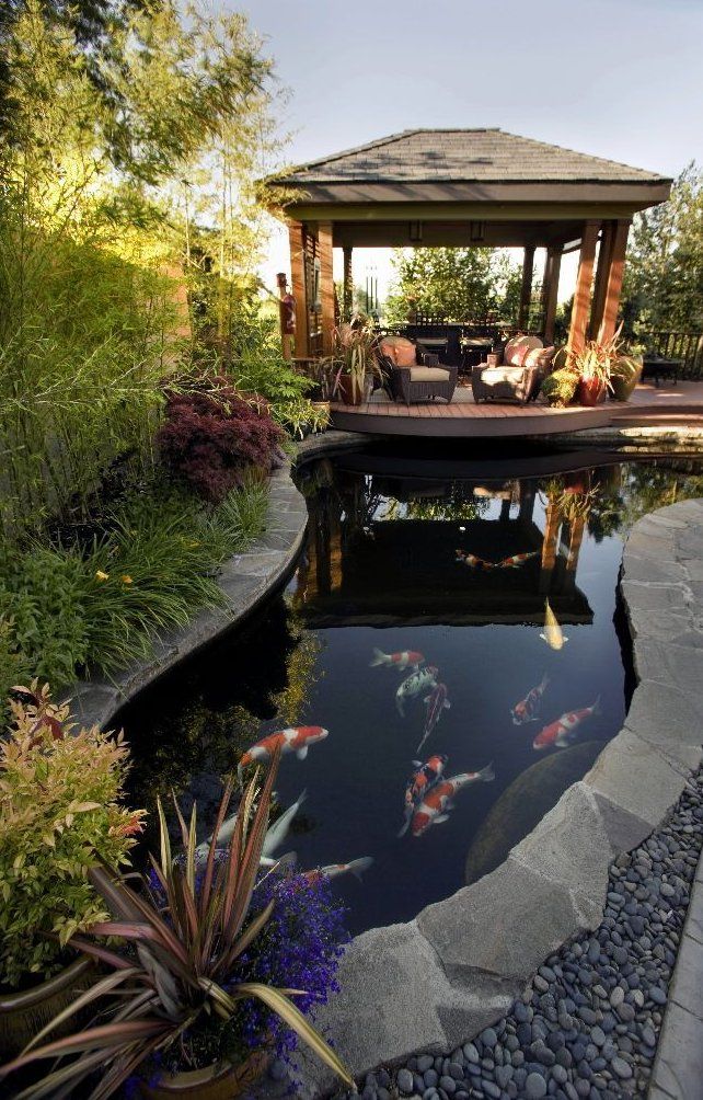 A Guide to Creating a Serene Oasis: Your Backyard Pond