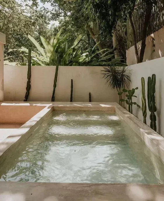 A Guide to Creating a Stunning Backyard Oasis with a Pool