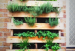 herb garden outdoor planter