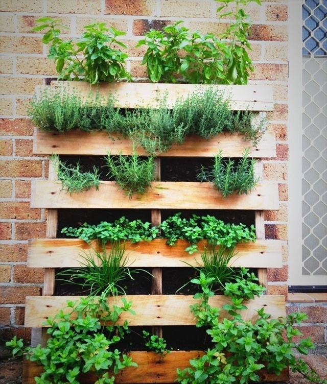 herb garden outdoor planter