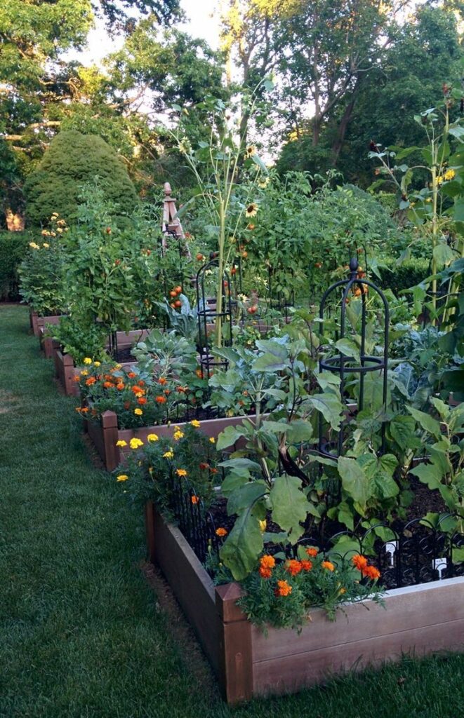 garden design vegetable