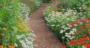 garden path