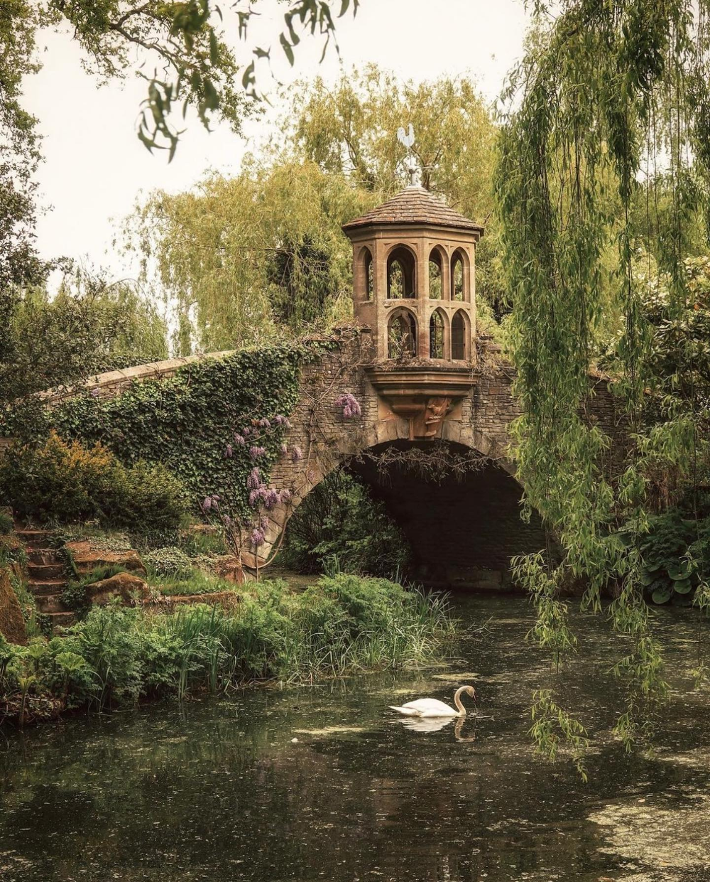 A Guide to the Beauty of Traditional English Gardens