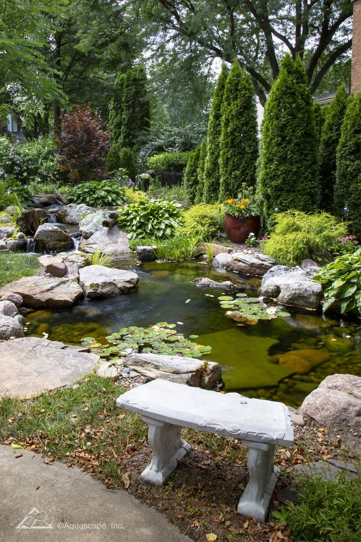 A Relaxing Oasis: Creating Your Own Water Garden