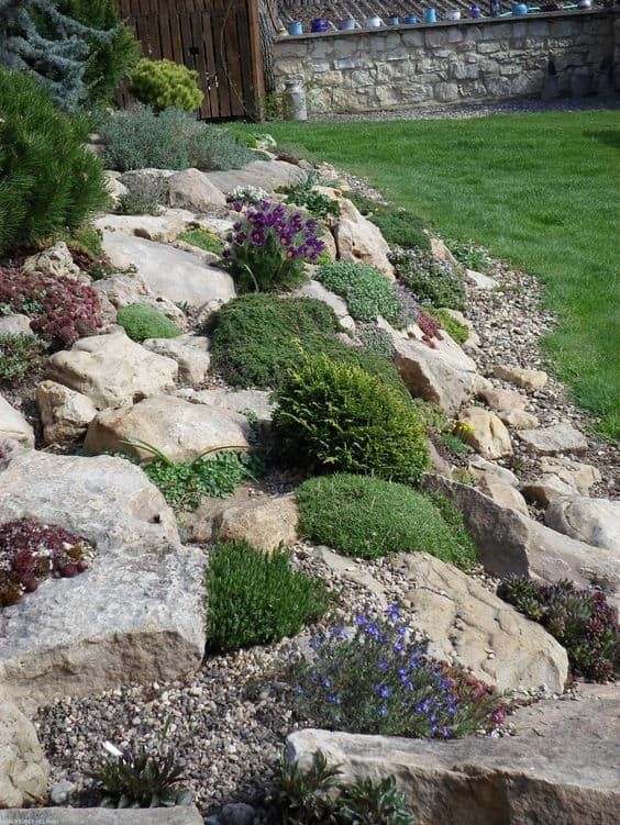 A Serene Oasis: The Beauty of Rock Gardens