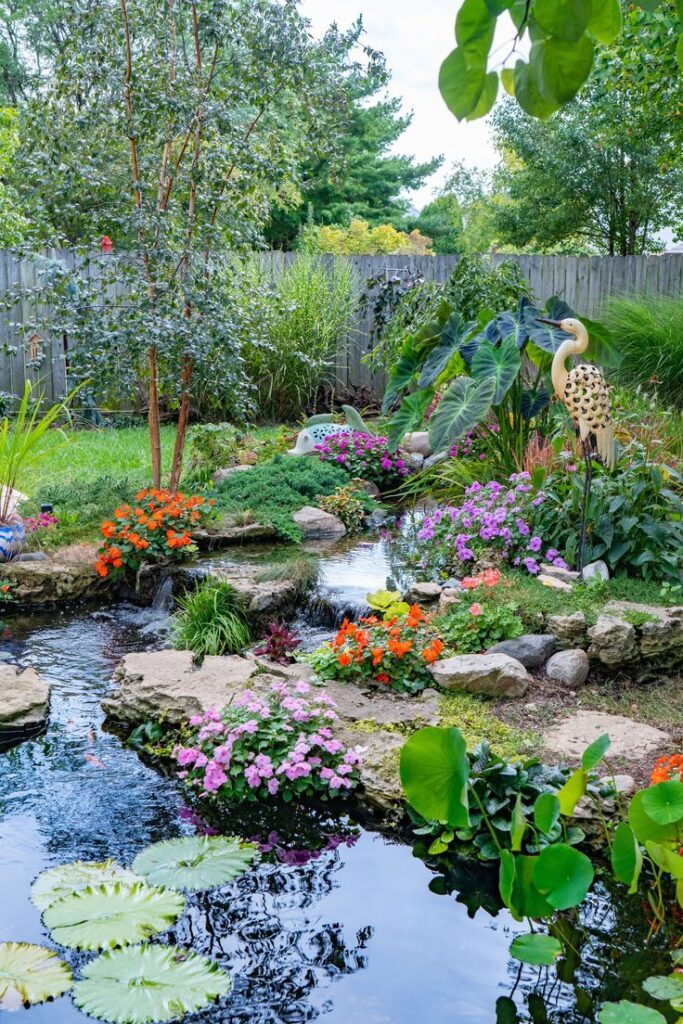 garden pond