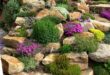 rock garden