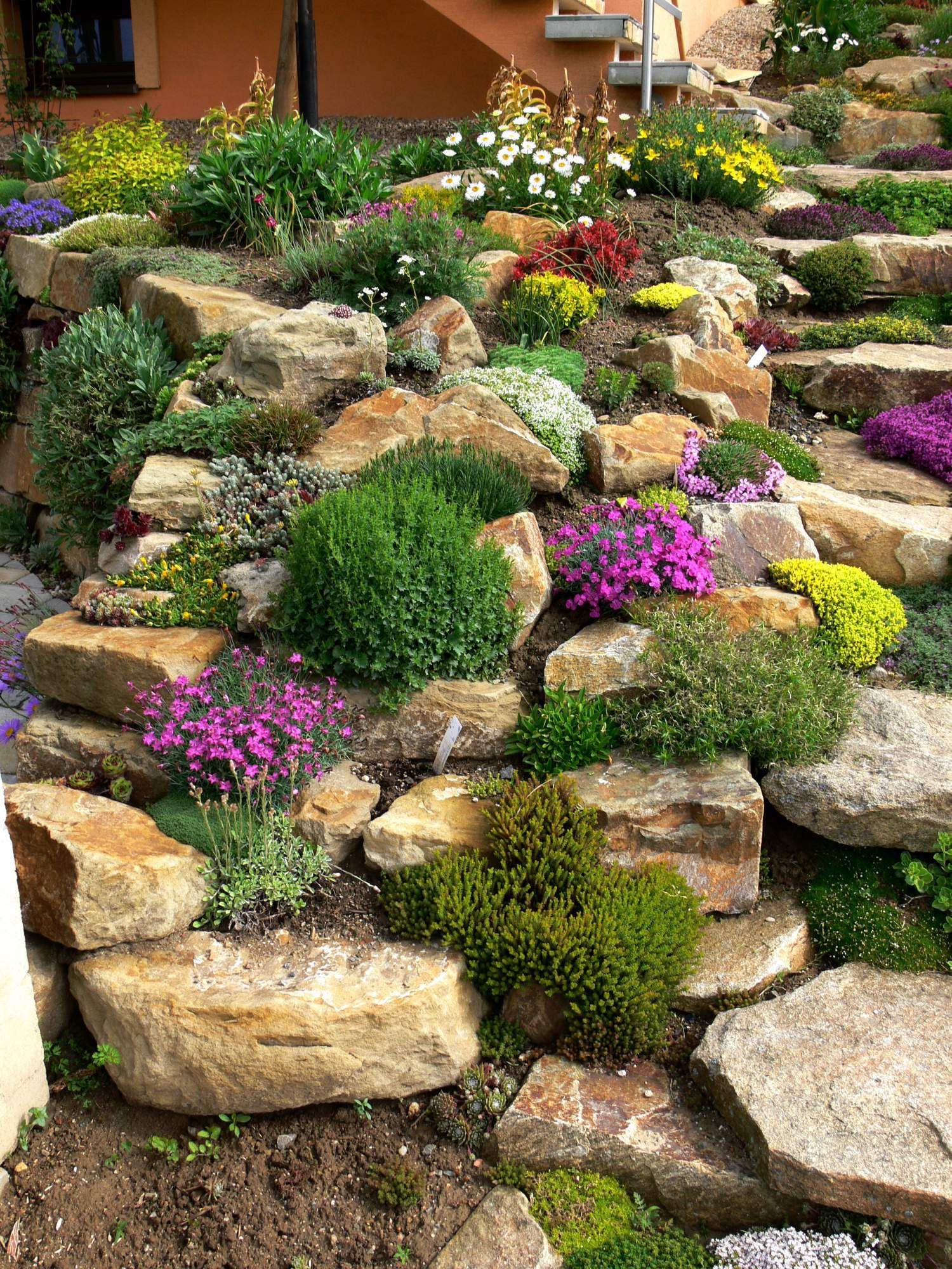 A Serene Oasis: The Beauty of a Rock Garden