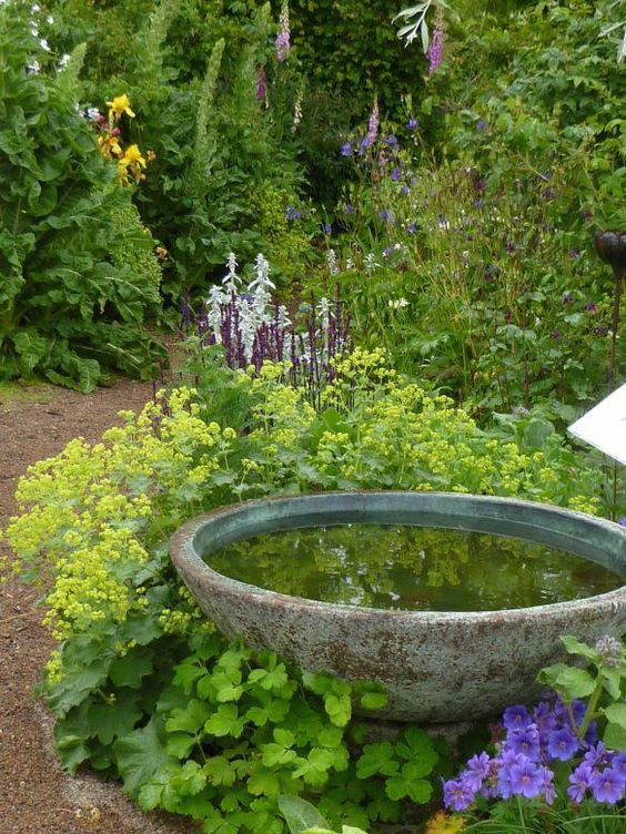 A Serene Oasis: The Beauty of a Small Garden with a Fountain