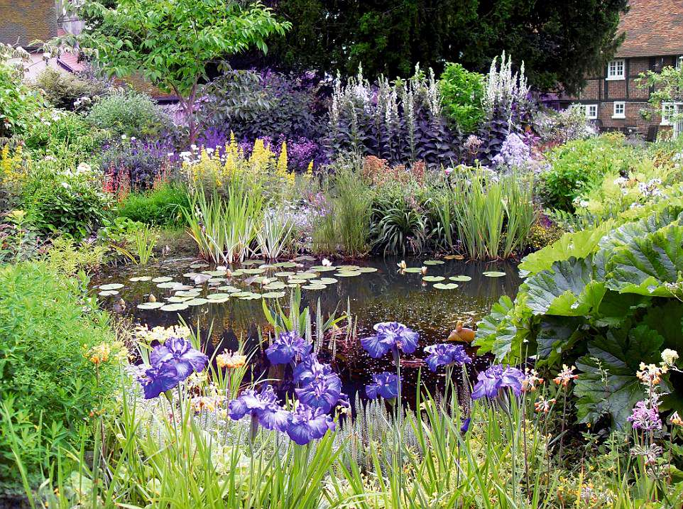 A Serene Oasis in Your Backyard: The Beauty of a Garden Pond