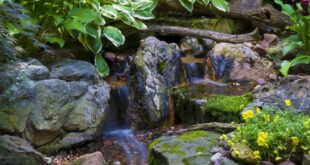 small garden waterfalls