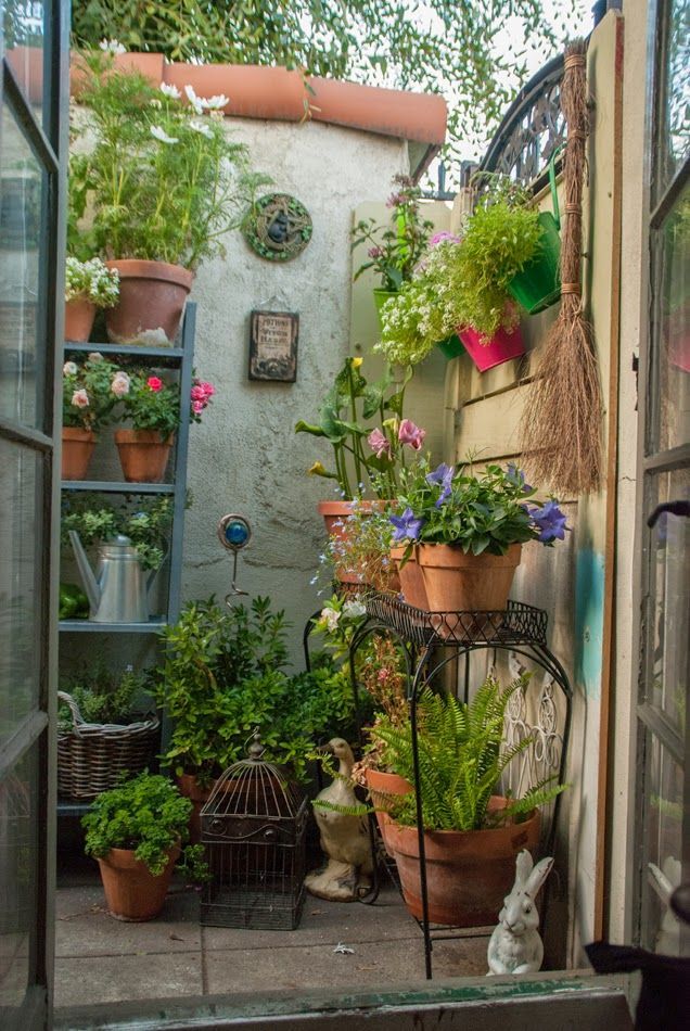 A Tiny Green Oasis: Embracing the Charm of a Small Garden