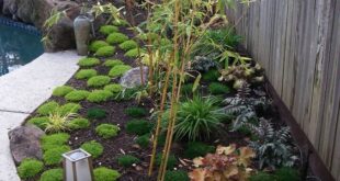 small japanese zen garden