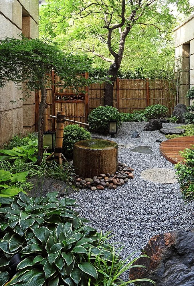 A Tranquil Oasis: The Beauty of a Small Japanese Zen Garden