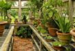 small garden greenhouse ideas