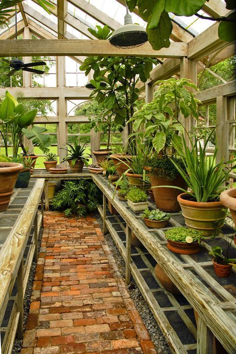 A guide to creating a charming garden greenhouse with limited space