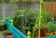 childrens garden ideas