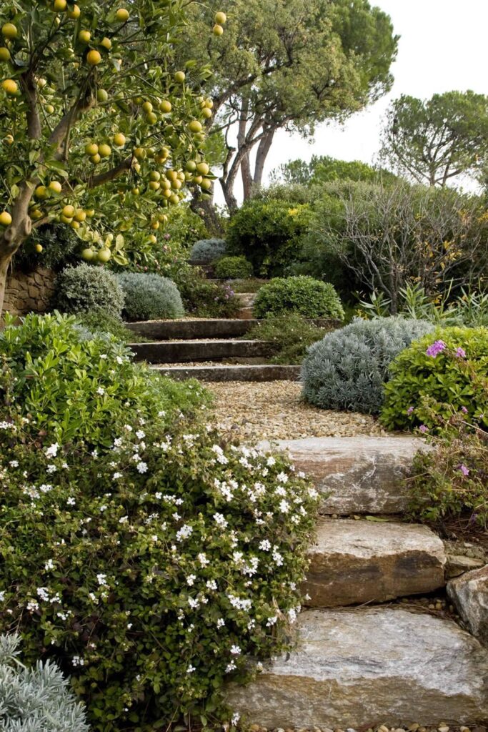 garden design on a slope