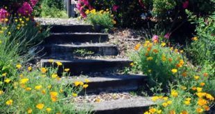 landscaping steps on a slope