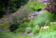 landscaping on a slope