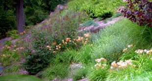 landscaping on a slope