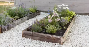 flower beds in front of house with rocks