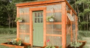 backyard greenhouse