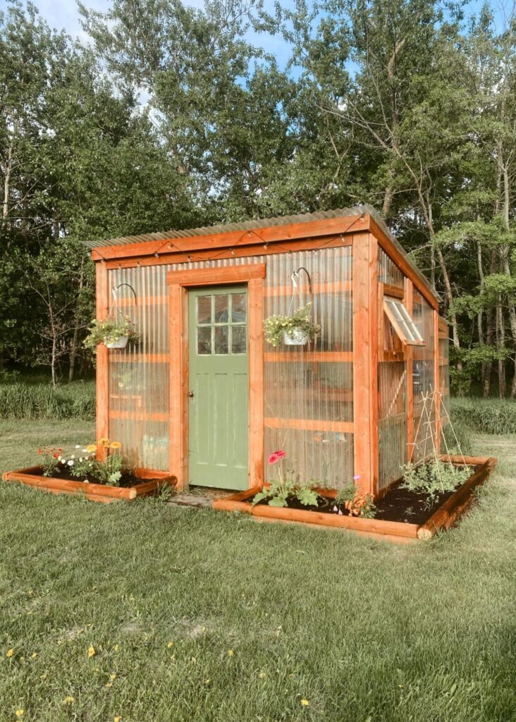 backyard greenhouse