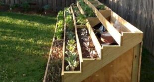 raised planter vegetable garden