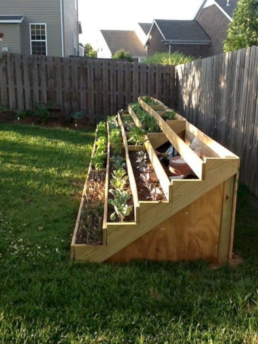 Advantages of Elevated Garden Beds for Growing Vegetables