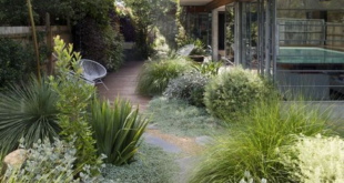 landscaping with ornamental grasses