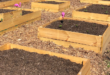 cheap raised garden beds