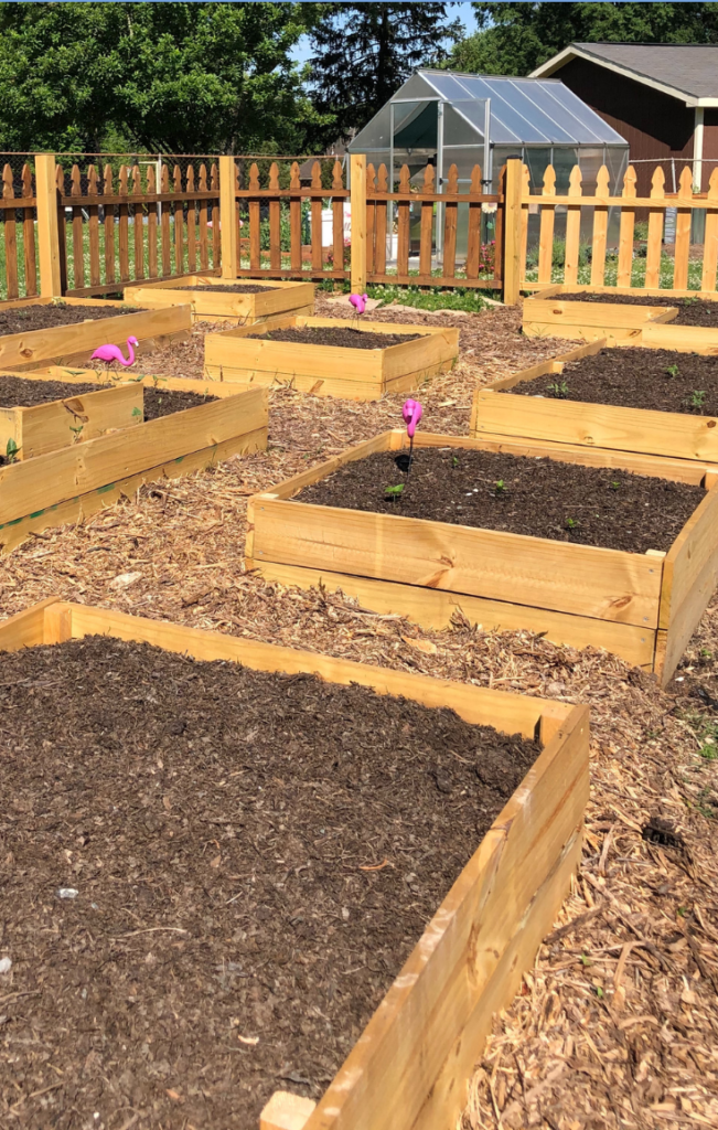 cheap raised garden beds