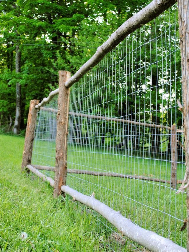 Affordable Garden Fence DIY Ideas for Your Backyard