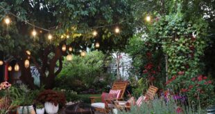 patio ideas budget