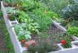 cheap raised garden beds