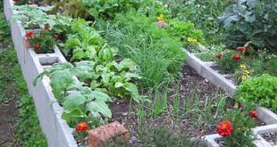 cheap raised garden beds