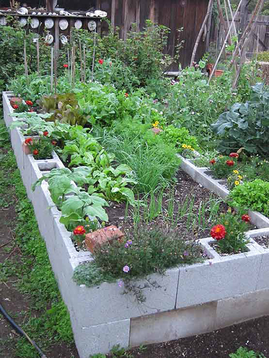 Affordable Raised Garden Beds for Every Gardener