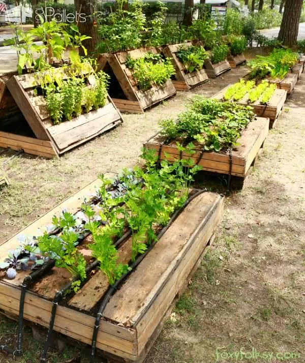 cheap raised garden beds