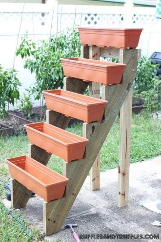 garden ideas on a budget