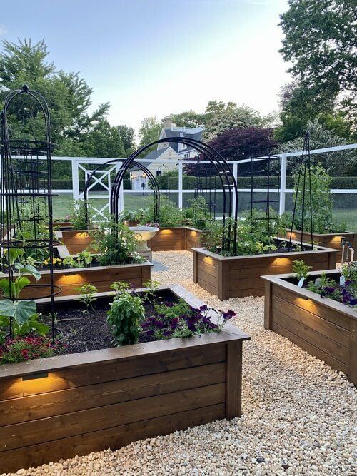 Artistic Arrangement: A Guide to Creating a Stunning Vegetable Garden Layout