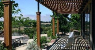 backyard canopy